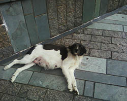 7e76399f-b91e-414c-b15a-313b0ba43528