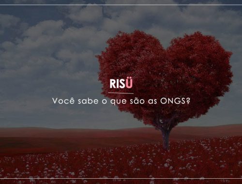 Você sabe o que são as ONGS?