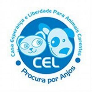 Doação de gatos - projetocel