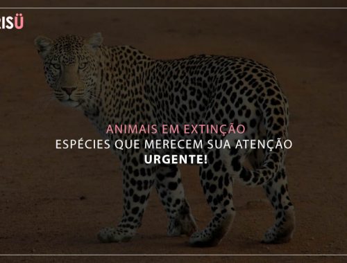 animais em extinção