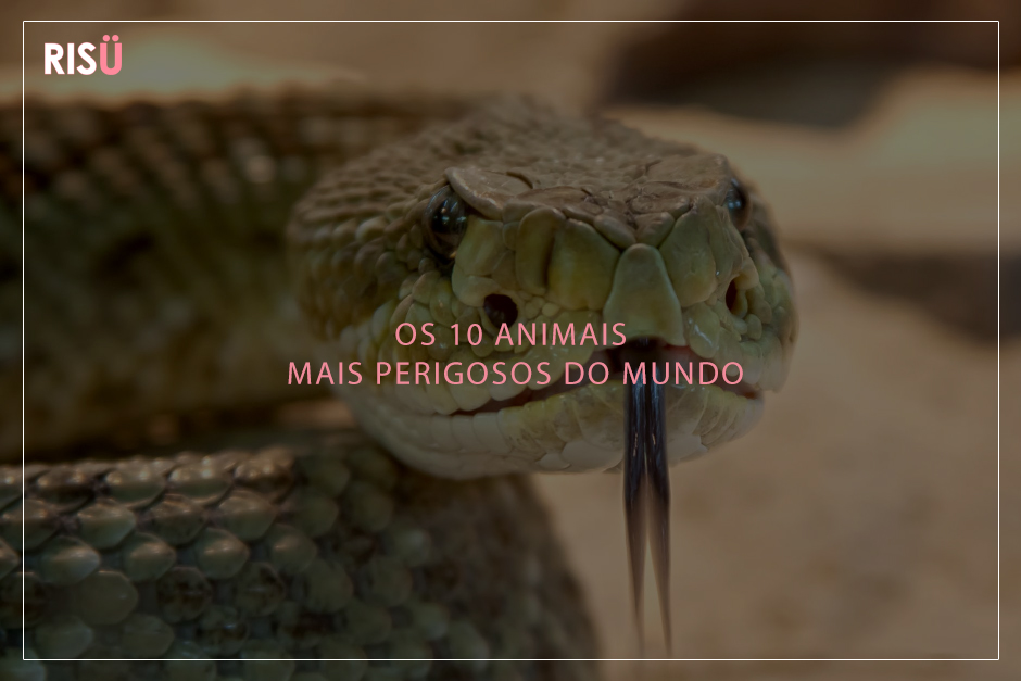 Animais mais perigosos do mundo