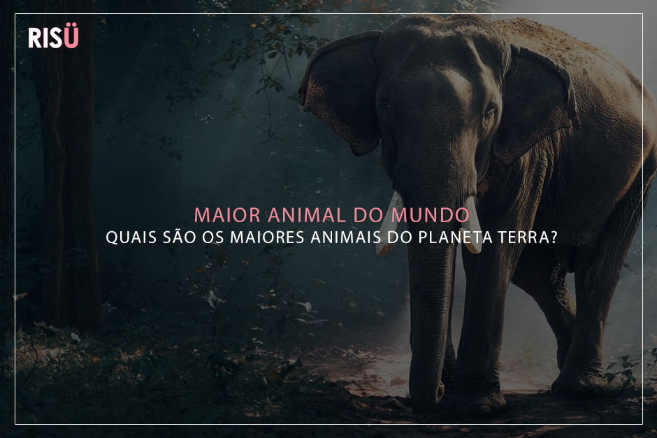 Maior Animal do Mundo