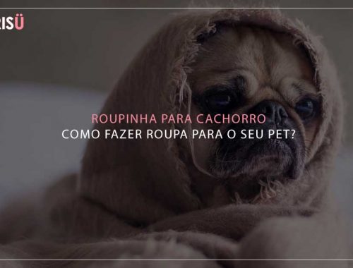 Roupinha para cachorro